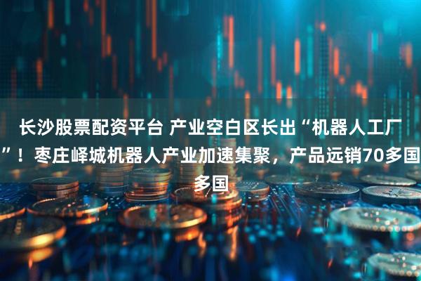 长沙股票配资平台 产业空白区长出“机器人工厂”！枣庄峄城机器人产业加速集聚，产品远销70多国